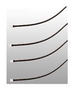 Bivar LC2-10.0拡大された画像