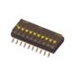 CTS Electronic Components 218-10LPSTF