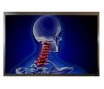 Hantronix HDA1010W-GH拡大された画像