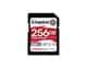 Kingston SDR2V6/256GB