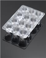 Ledil C12528_PETUNIA拡大された画像