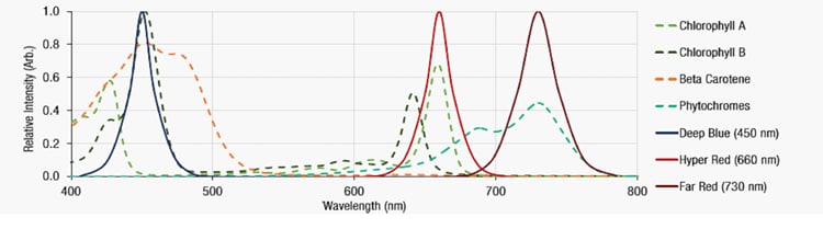 Würth Elektronik 園芸用LED