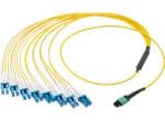 Molex QSFP-DD 16Fケーブルアセンブリ
