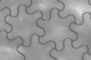 インフォグラフィック - Panasonic Industrial Devices EMA0600003B0透明導電性フィルム